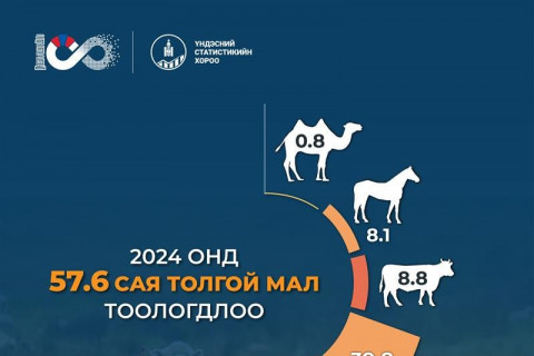 2024 онд 57.6 сая толгой мал тоологдлоо