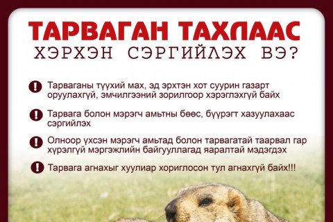 ЭМЯ: Тарваган тахлын улмаас 1 хүн нас барж, 96 хүнийг тусгаарласан