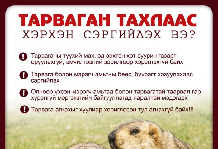 ЭМЯ: Тарваган тахлын улмаас 1 хүн нас барж, 96 хүнийг тусгаарласан