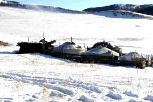 Нийт нутгийн 46 хувьд цастай байна