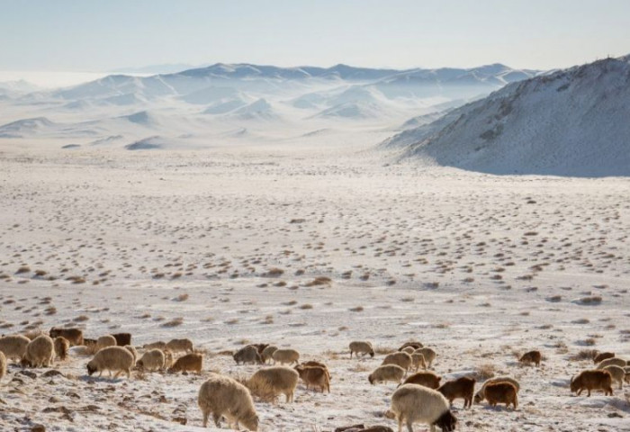 Улаанбаатарт өдөртөө 5-7 хэм дулаан байна