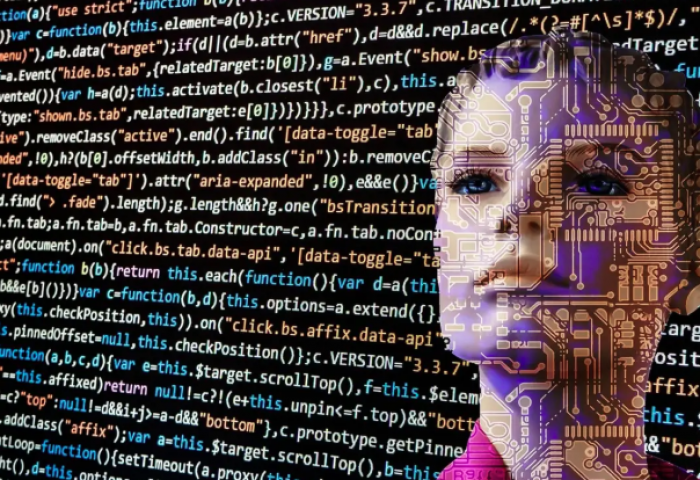 Collins оны онцлох үгийг нэрлэв