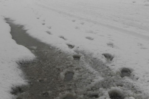 Өнгөрсөн хоногт 18 мм хүртэл хэмжээтэй бороо, нойтон цас, цас орлоо