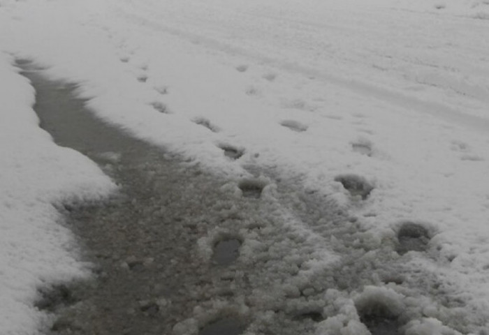 Өнгөрсөн хоногт 18 мм хүртэл хэмжээтэй бороо, нойтон цас, цас орлоо