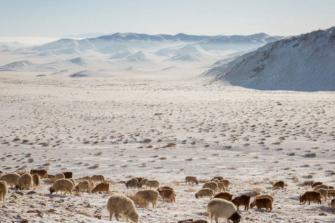 Улаанбаатарт өдөртөө 10-12 хэм хүйтэн байна.