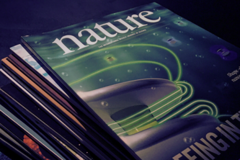 DeepSeek-ийг зохион бүтээгчид Nature сэтгүүлийн жагсаалтад багтжээ