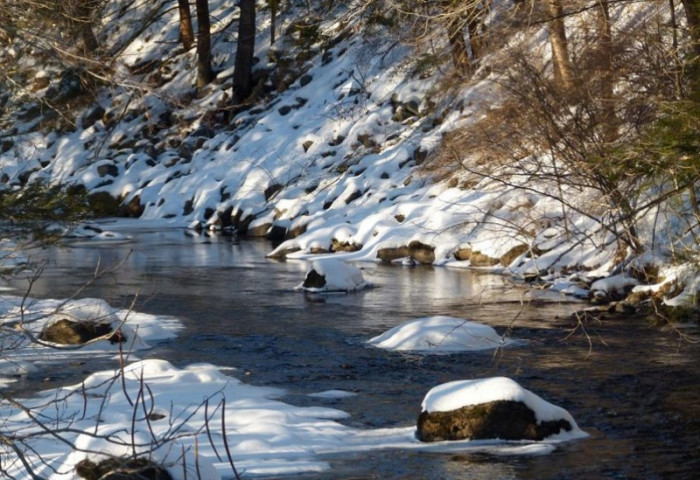 Ирэх 10 хоногт цаг агаар ямар байх вэ