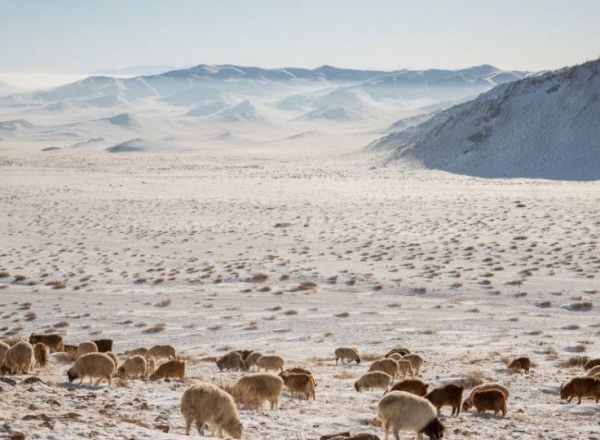 Улаанбаатарт өдөртөө 18-20 хэм хүйтэн байна
