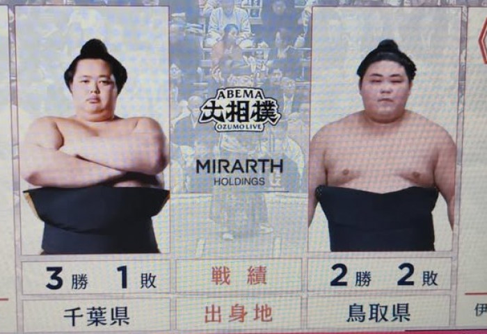 Өнөөдөр Озэки Котозакүра, Хакүнофүжи-д унаснаар 2 унаатай болов