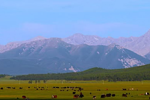 Азийн цэвдгийн хурлыг Улаанбаатар хотод зохион байгуулна