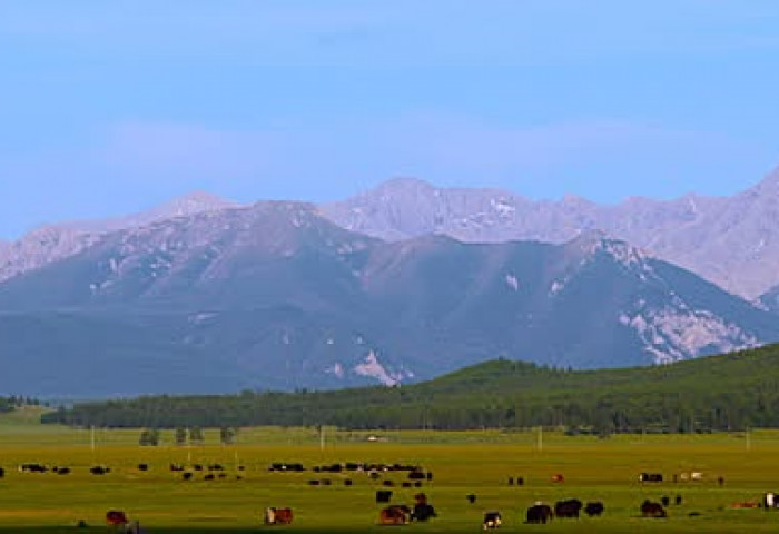 Азийн цэвдгийн хурлыг Улаанбаатар хотод зохион байгуулна