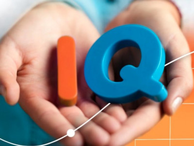 IQ-ийн дундаж үзүүлэлтээр монголчууд наймдугаарт эрэмбэлэгджээ