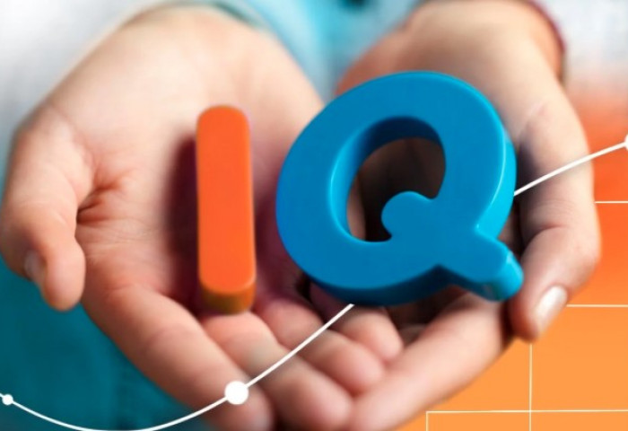 IQ-ийн дундаж үзүүлэлтээр монголчууд наймдугаарт эрэмбэлэгджээ