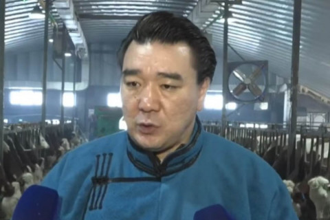 “Харүмафүжи сүүний ферм“-ийн үүсгэн байгуулагч Д.Бямбадорж “Алтан төлийн эзэн“ шагнал хүртлээ