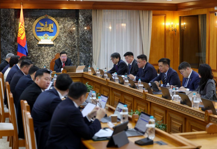 Бортээгийн ордыг эдийн засгийн эргэлтэд оруулж, хамтран ажиллах аж ахуйн нэгжийг шалгаруулна