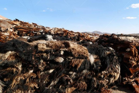 Эмээлт эко аж үйлдвэрийн паркт арьс, шир боловсруулах үйлдвэрүүдийг нүүлгэн шилжүүлэхэд тулгамдаж буй асуудлаар зөвлөлдөв