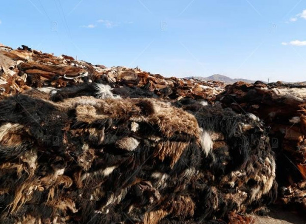 Эмээлт эко аж үйлдвэрийн паркт арьс, шир боловсруулах үйлдвэрүүдийг нүүлгэн шилжүүлэхэд тулгамдаж буй асуудлаар зөвлөлдөв