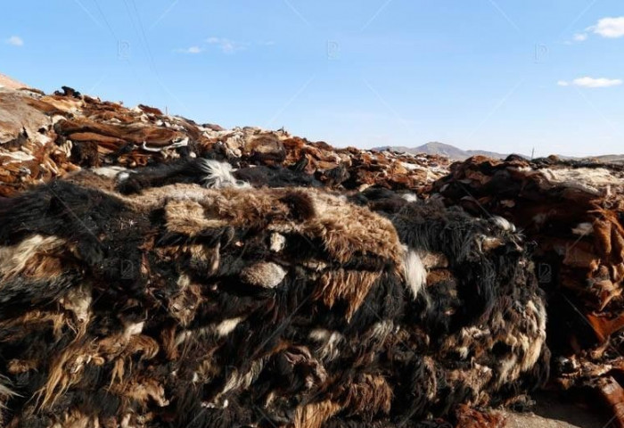 Эмээлт эко аж үйлдвэрийн паркт арьс, шир боловсруулах үйлдвэрүүдийг нүүлгэн шилжүүлэхэд тулгамдаж буй асуудлаар зөвлөлдөв