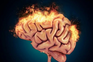 Альцгеймерийн өвчний үед тархины эсийн үхжилтийг зогсоох аргыг нээжээ