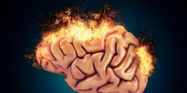 Альцгеймерийн өвчний үед тархины эсийн үхжилтийг зогсоох аргыг нээжээ