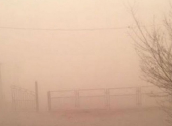 Улаанбаатарт өдөртөө 6-8 хэм дулаан байна