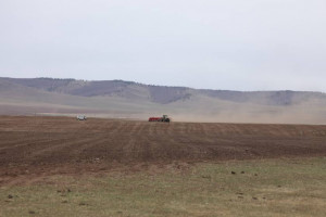 Манай улс энэ хавар 633.4 мянга га-г тариалахаар бэлтгээд байна