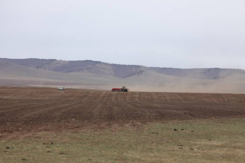 Манай улс энэ хавар 633.4 мянга га-г тариалахаар бэлтгээд байна