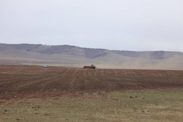 Манай улс энэ хавар 633.4 мянга га-г тариалахаар бэлтгээд байна