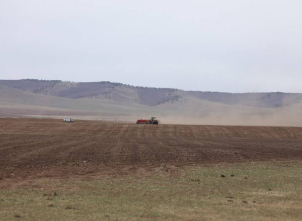 Манай улс энэ хавар 633.4 мянга га-г тариалахаар бэлтгээд байна