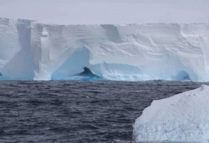 Хамгийн том мөсөн уул бүрэн хагарч салжээ