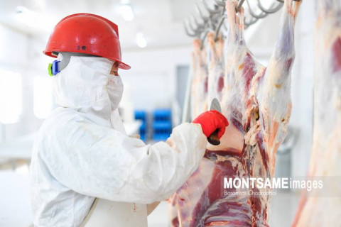 Махны экспорт 2023 оноос өсөж, орлого 345.3 сая ам.долларт хүрчээ