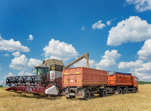 Экспортолсон ургамлын гаралтай бүтээгдэхүүний хэмжээ 183.5 мянган тоннд хүрэв