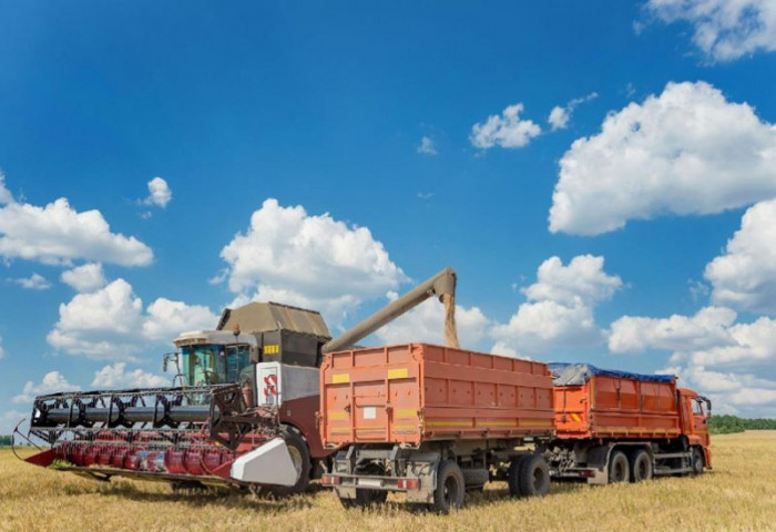 Экспортолсон ургамлын гаралтай бүтээгдэхүүний хэмжээ 183.5 мянган тоннд хүрэв