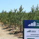 “Тэрбум мод тарих үндэсний өдөр”-өөр есөн байршилд мод тарина