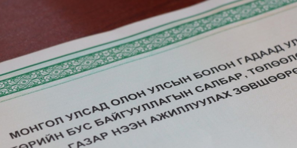Монгол Улсад олон улсын болон гадаад улсын ТББ-ын 72 салбар, төлөөлөгчийн газар үйл ажиллагаа явуулж байна