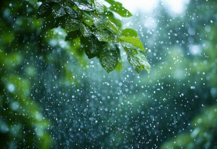 Улаанбаатарт өдөртөө 26 хэм дулаан байна