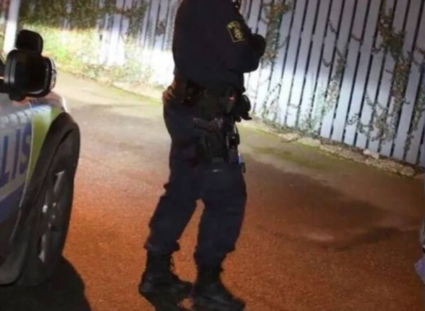 Шведэд эрүүгийн хариуцлага хүлээлгэх насыг 14 болгожээ