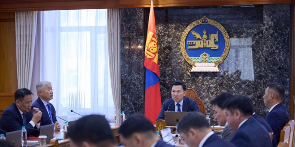 2027 оны хаврын улирлын хүнсний хэрэгцээнд 15.0–20.0 мянган тонн нөөцийн мах бэлтгэнэ