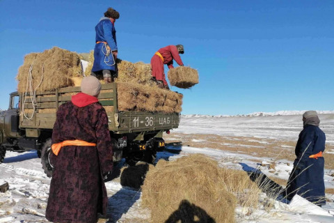 Малчдад тусламж хүргэлээ