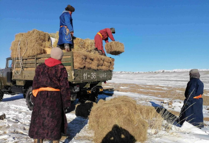 Малчдад тусламж хүргэлээ