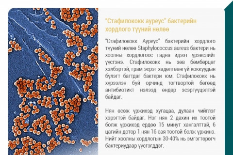 Хоолны хордлогын нэг нян 2 дахин их тоотой болж үржихэд ердөө 15 минут хангалттай