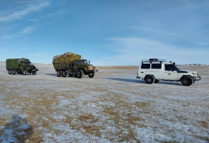 Сумдад өвс тэжээл хүргэх, зам гаргах ажил үргэлжилж байна