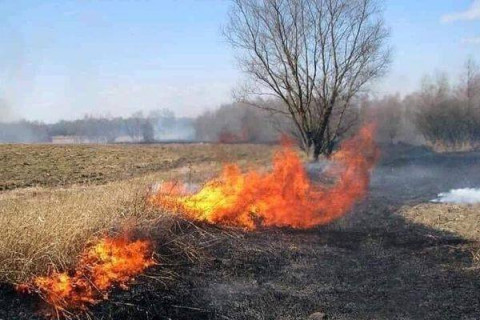 Шашны зан үйл үйлдэж туул голын бургасанд гал гаргасныг аюулгүй болгов