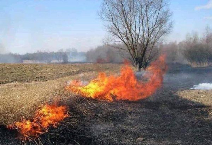 Шашны зан үйл үйлдэж туул голын бургасанд гал гаргасныг аюулгүй болгов