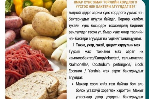 ЗӨВЛӨМЖ: Ямар хүнс ямар төрлийн нян бактери агуулдаг вэ гэдгийг танилцуулъя